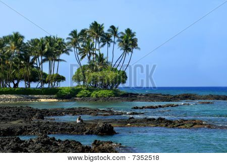 Waikoloa a želva