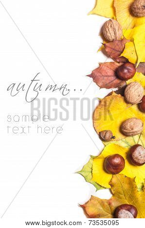 Autumn nature concept. Fall fruit and vegetables on wood. Thanksgiving dinner
