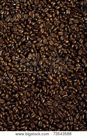 Coffee Seeds Background