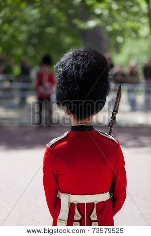 Royal Guard With Bearskin