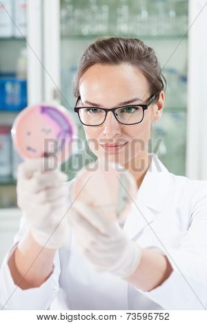 Scientist Watching Microbacteria At Petri Dish
