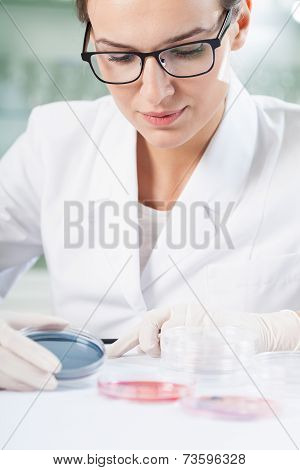 Concentrated Biologist Analyzing