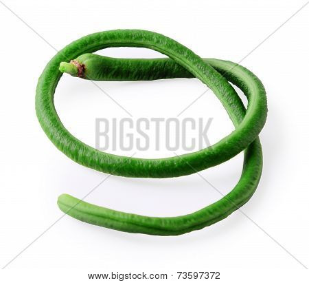 Yardlong Bean With White Background