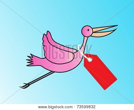 Bird Cartoon