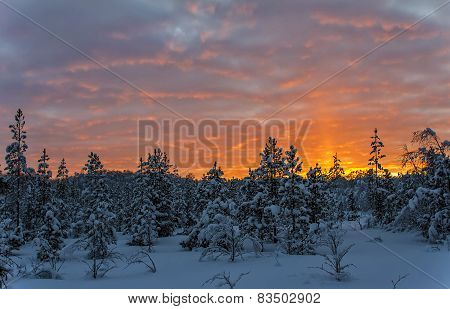 Bright Polar Sunset