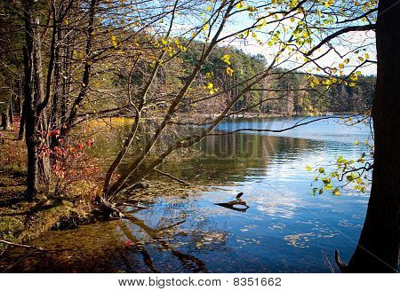 Jezero na podzim