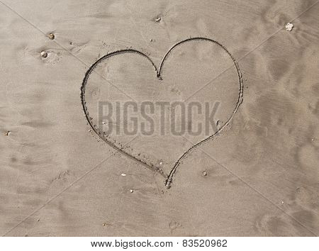 Heart