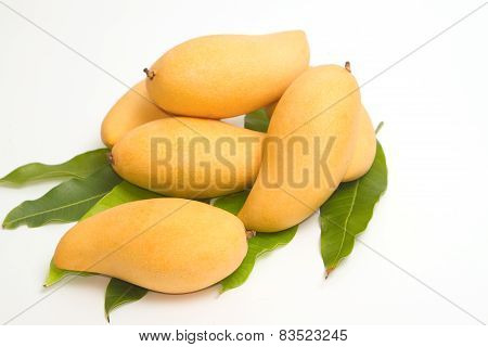 Fresh Ripe Mangoes With Green Leaves