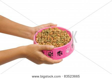 Hand Feeding Dog Food, Isolate