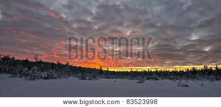 Polar sunset panorama