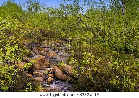 Creek