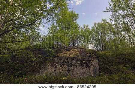 Big Stone In The Forest