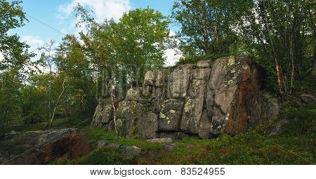 Trees Grow On The Rocks In The Tundra