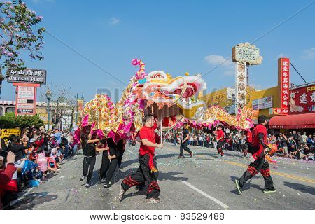 Chinese Dragon Performance