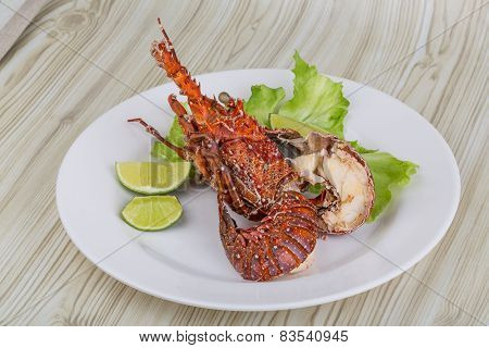 Spiny Lobster