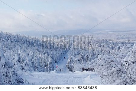 winter wonderland