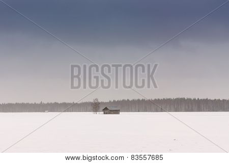 Barn Houses In The Spring Fields