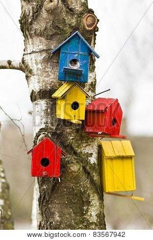 Bird Houses