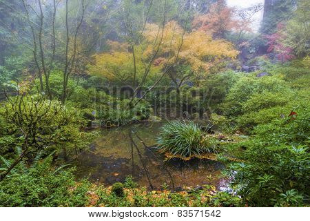 Foggy Morning At Japanese Garden