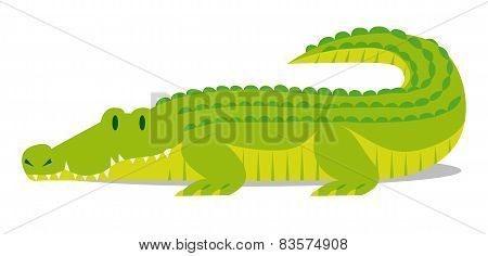 Vector Cartoon Crocodile solated On Blank Background