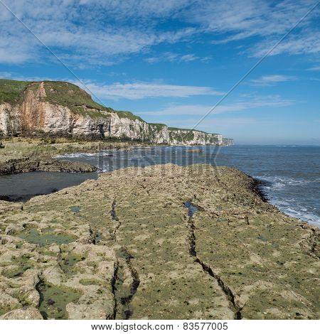 Thornwick Bay