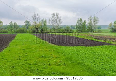 Spring landscape at rainy day