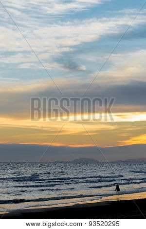 Beautiful landscape with woman and sea, Sunset and beach