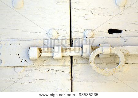 White  Tradate Abstract   Rusty Brass Brown Knocker