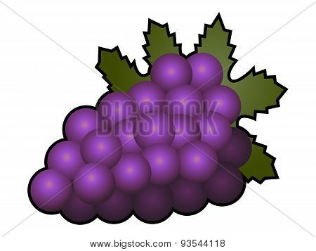 Grapes fruit isolated on white background