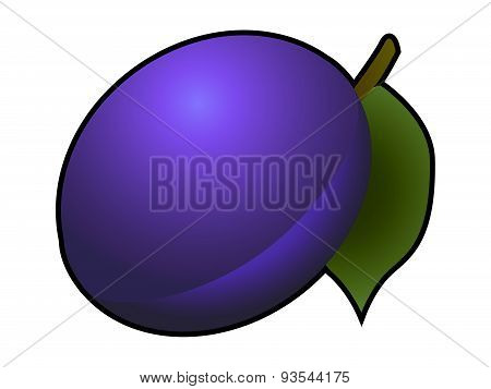 Plum fruit isolated on white background