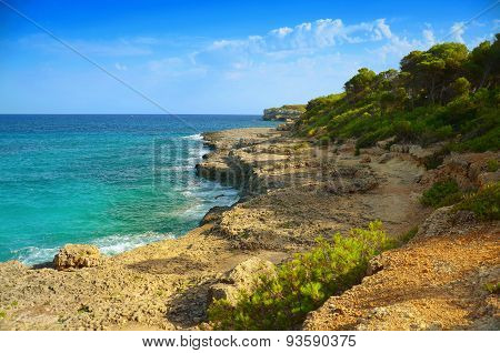 sea landscape rocky