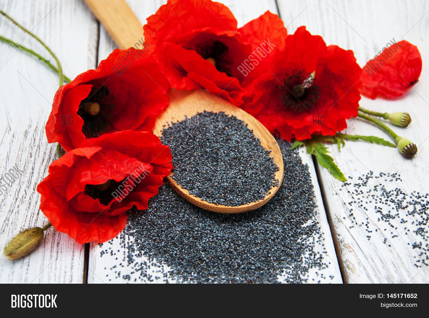 Poppy Seeds Flowers Image & Photo (Free Trial) Bigstock