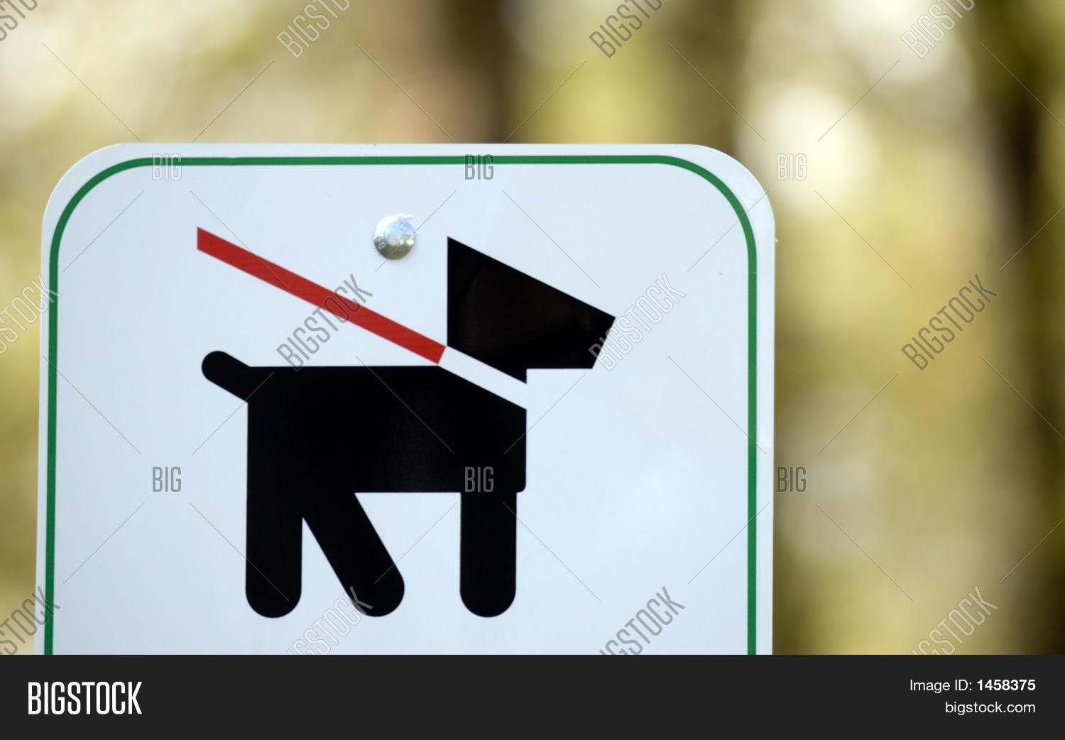 Leash Law Sign Image & Photo (Free Trial) Bigstock