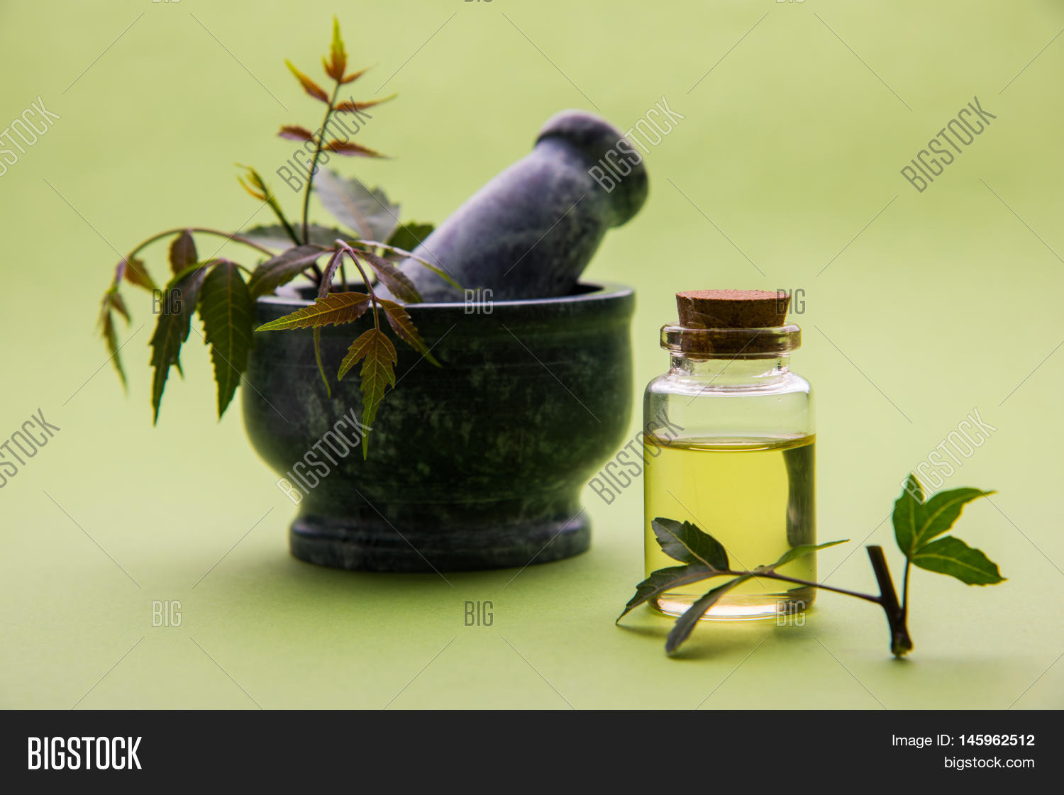 Ayurvedic Herbs Neem Image & Photo (Free Trial) Bigstock