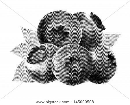 Juicy and fresh blueberries with green leaves on white background. Blue color blueberries close-up. Image of blueberries with high resolution. Drawing sketch painting blueberry