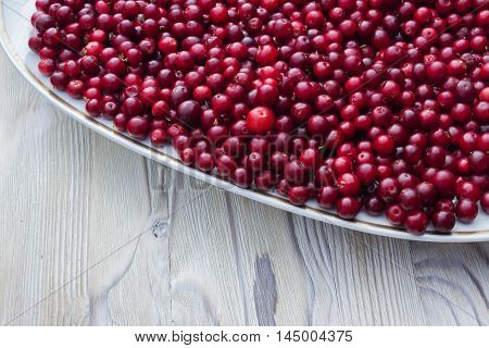 Ripe juicy cranberries bright autumn colorful background