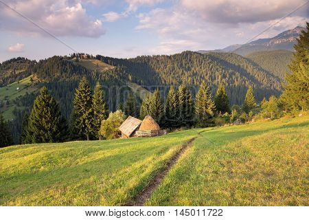 Summer landscape above the village in Moeciu de Sus - Bran, Romania