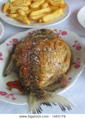  Stegt fisk 