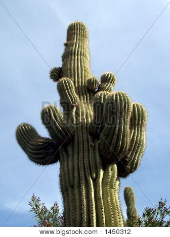 เซ