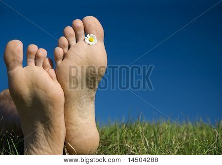 Tempo di rilassamento durante una splendida giornata di sole in primavera. Spazio per testo