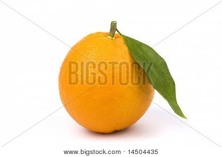 Frisk og moden orange frugt med grønne blade. Sund frugt rig på C-vitamin