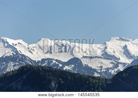 Peaks of rocky mountains covered with snow can be seen of over the dark green forests it can be seen from Weggis over the Lake Lucerne