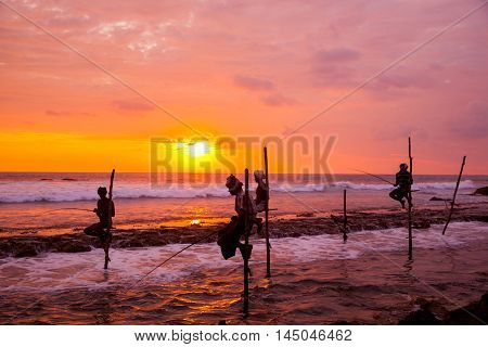 AHANGAMA - NOVEMBER 27 : Still fisherman's fishing fish at sunset on November 27 2015 in Ahangama Sri Lanka