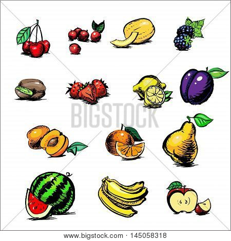 coconut, avocado, raspberry, mandarin, mango, passion fruit, peach, watermelon, banana, apple, fruit and vegetables watercolor vector set of icons