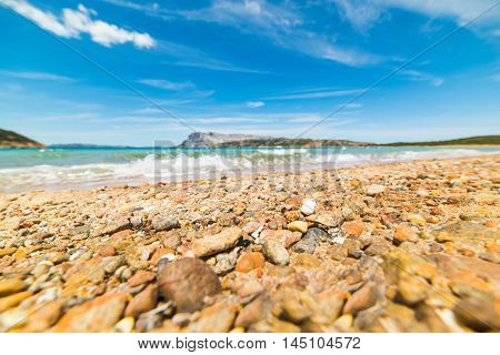 orange pebble in Capo Coda Cavallo shore Sardinia