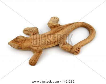 Gecko madeira