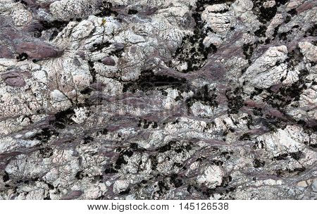 Rock textured in white, grey, and black along the coast of Llanddwyn Island, Anglesey, Wales.