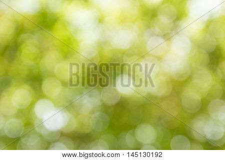 Blurred Yellow Lights Circular Bokeh Abstract For Christmas Background
