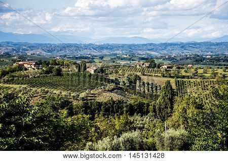 Wine yard landscape overview in Italy Tuscany
