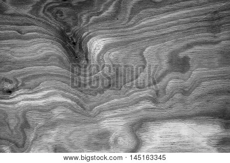 Black And White Wood Texture for background